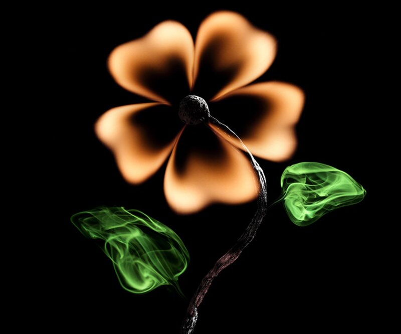 Smoke Flower with Leaves
