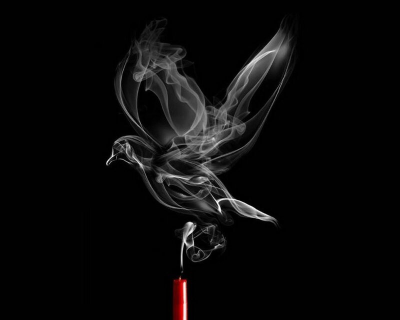 Smoke Forming a Bird — Black