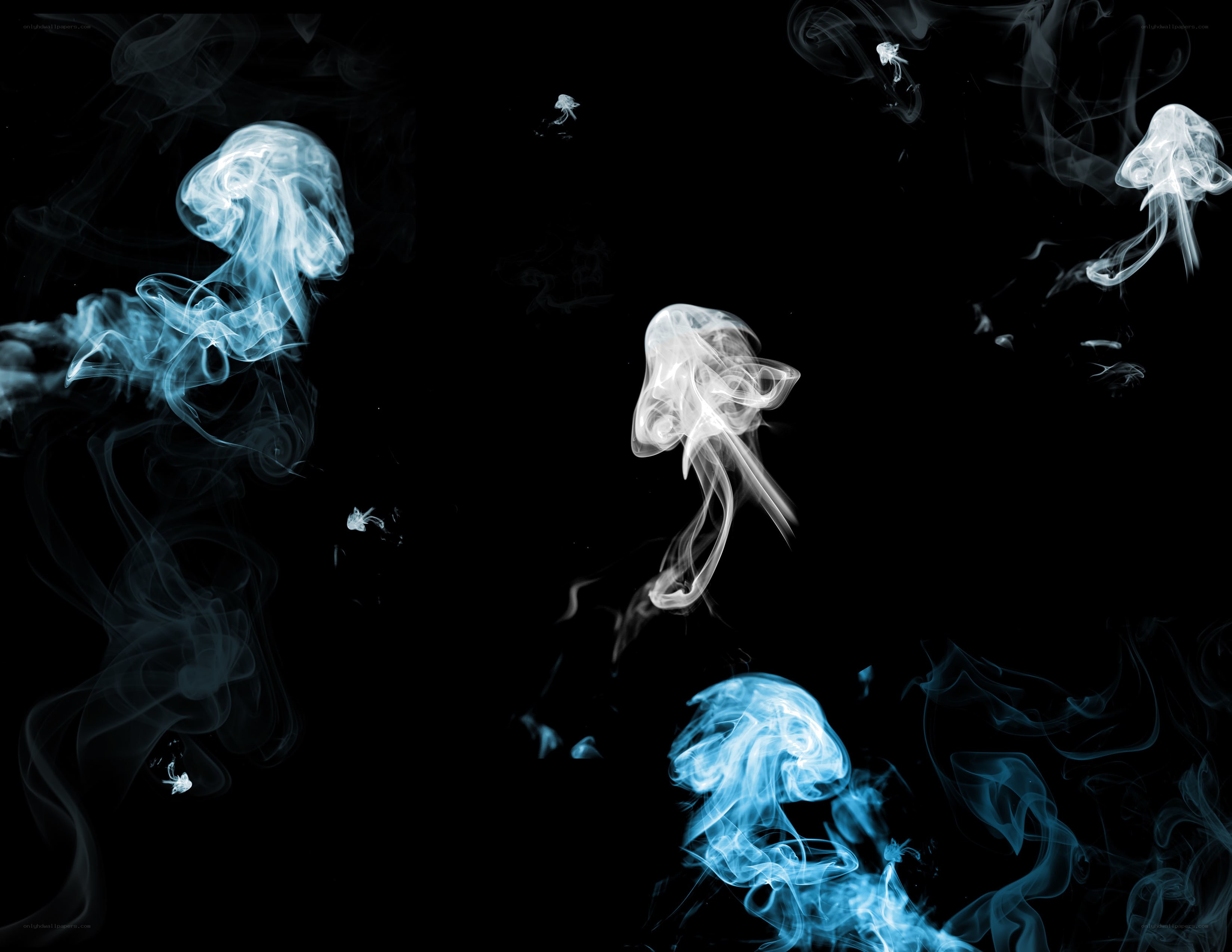 smoke jellyfish shapes