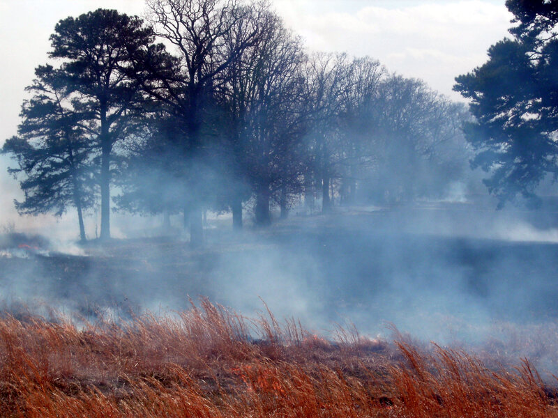 Smoke over Burning Field