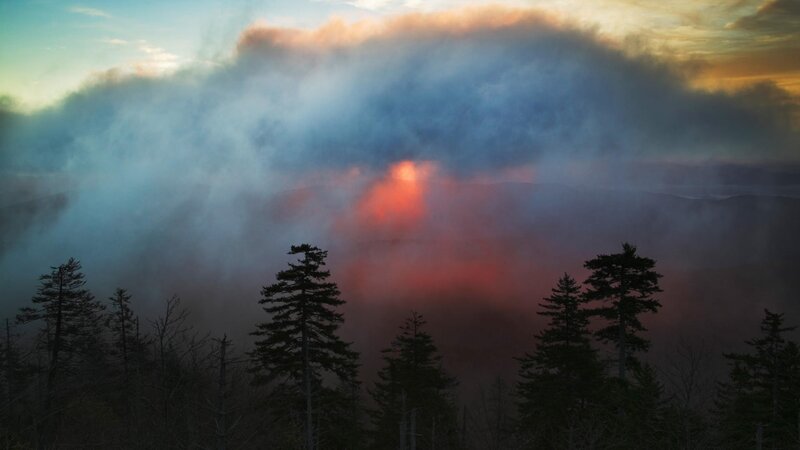 smoke over forest at sunset