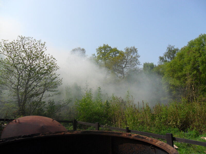 Smoke over Forest