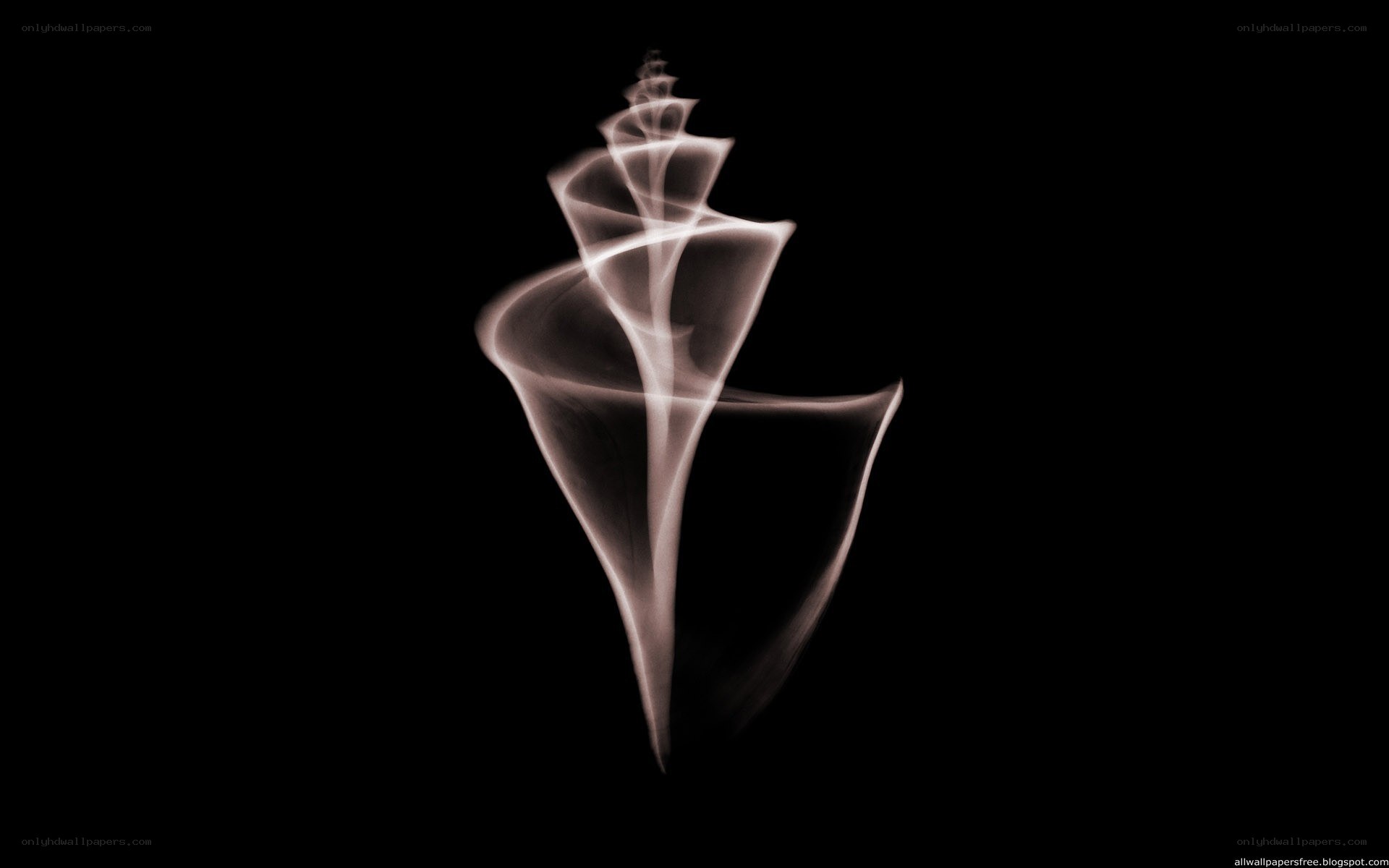 smoke shell sculpture