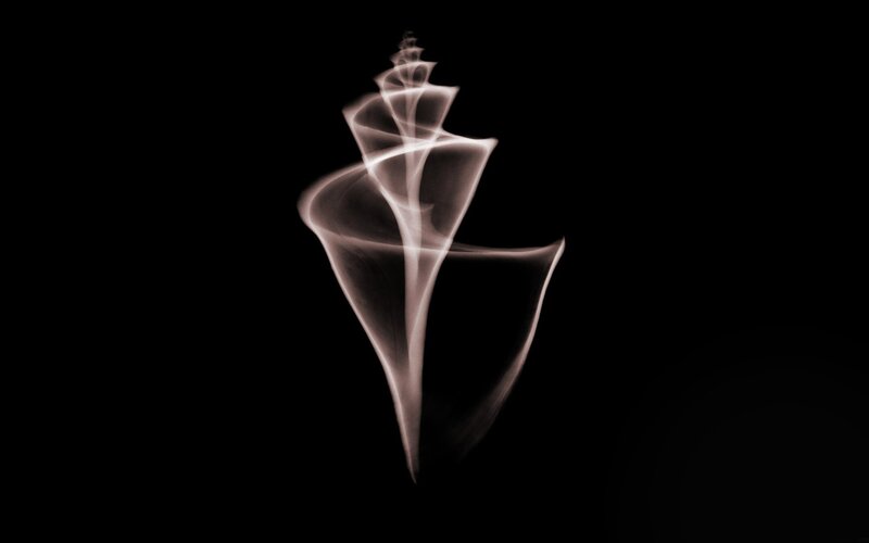 smoke shell sculpture