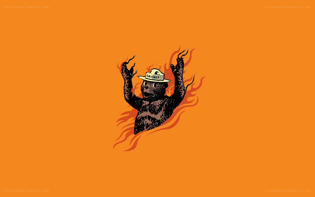 Smokey the Bear in flames