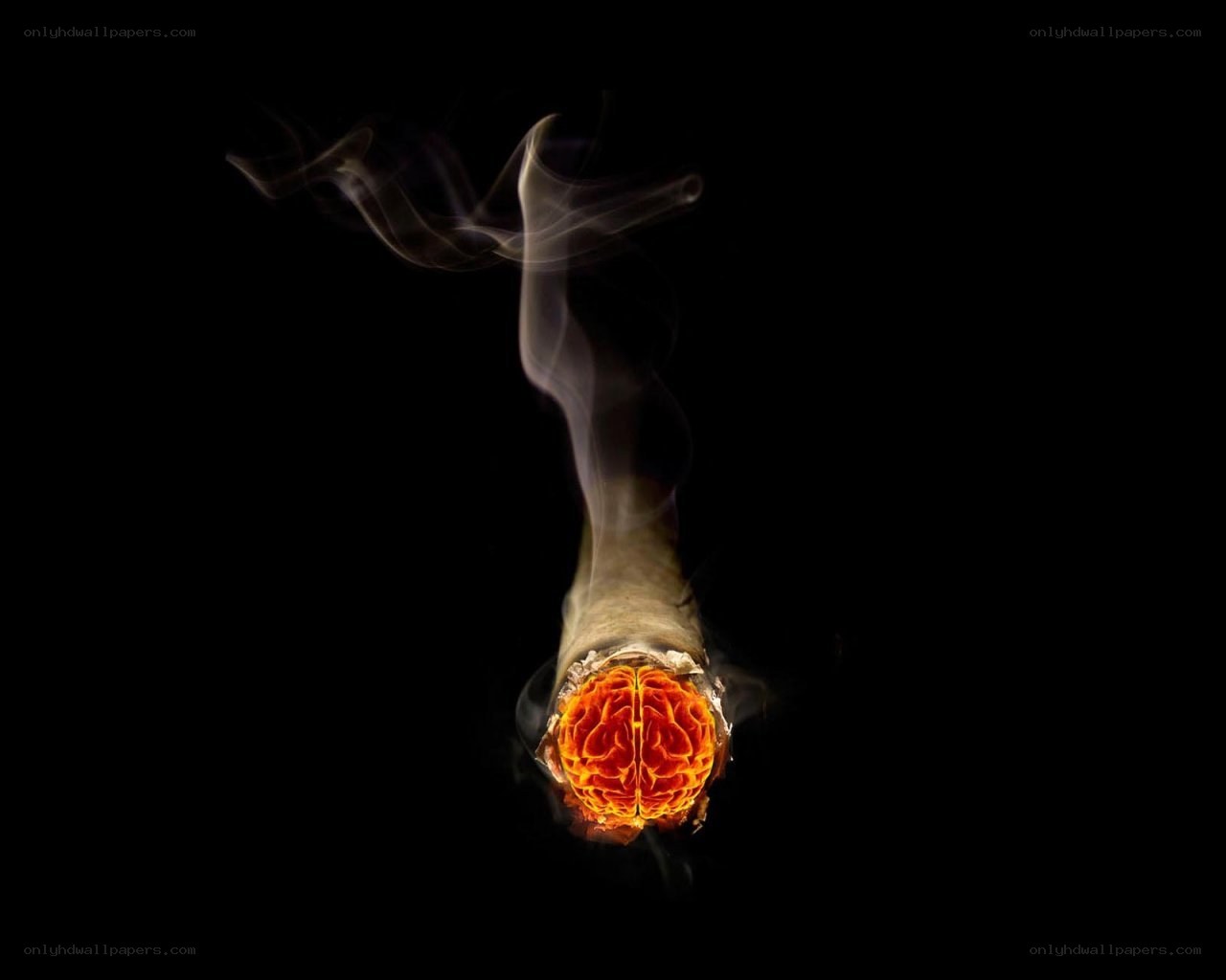 smoking brain with smoke