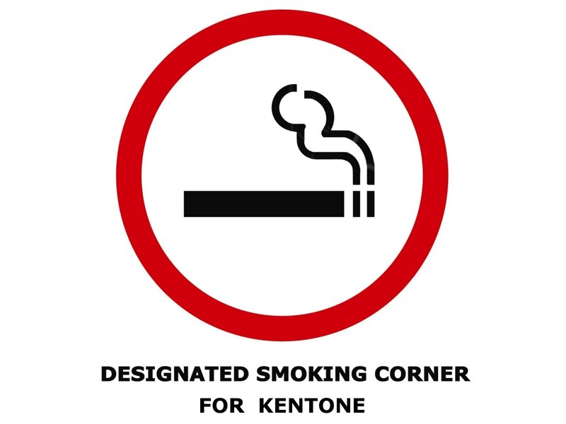 Smoking Cigarette Icon