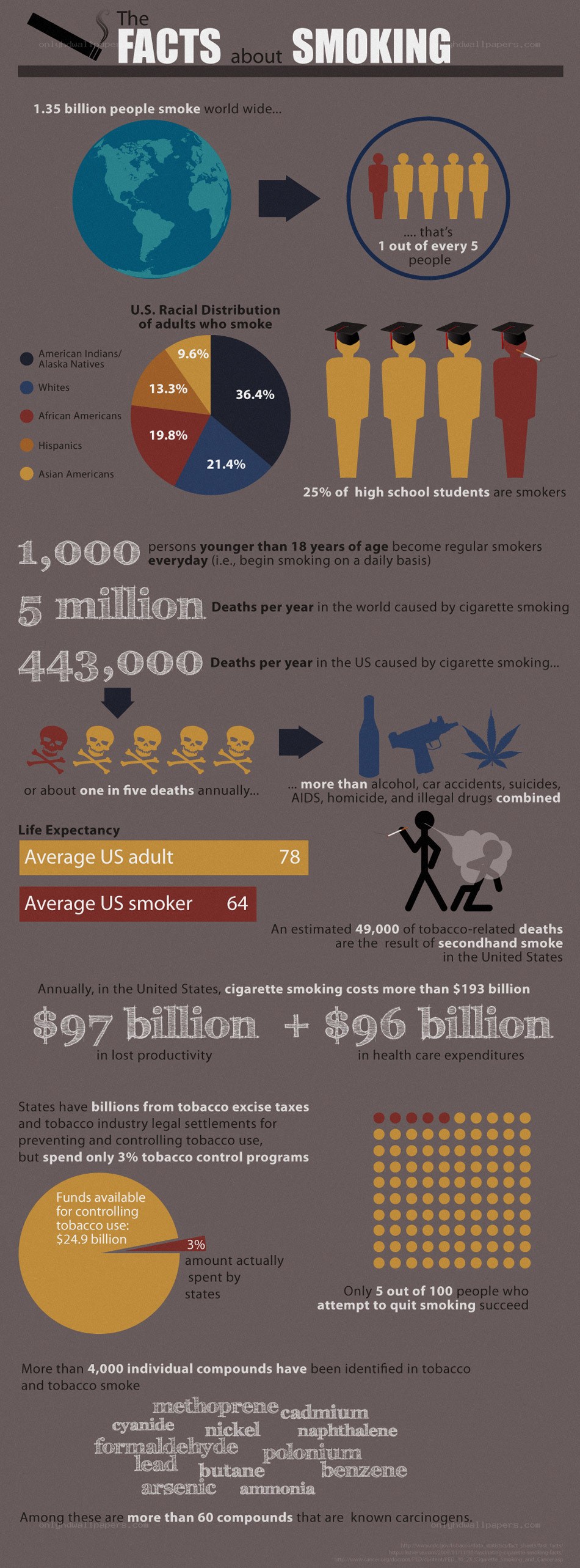 Smoking Facts Infographic