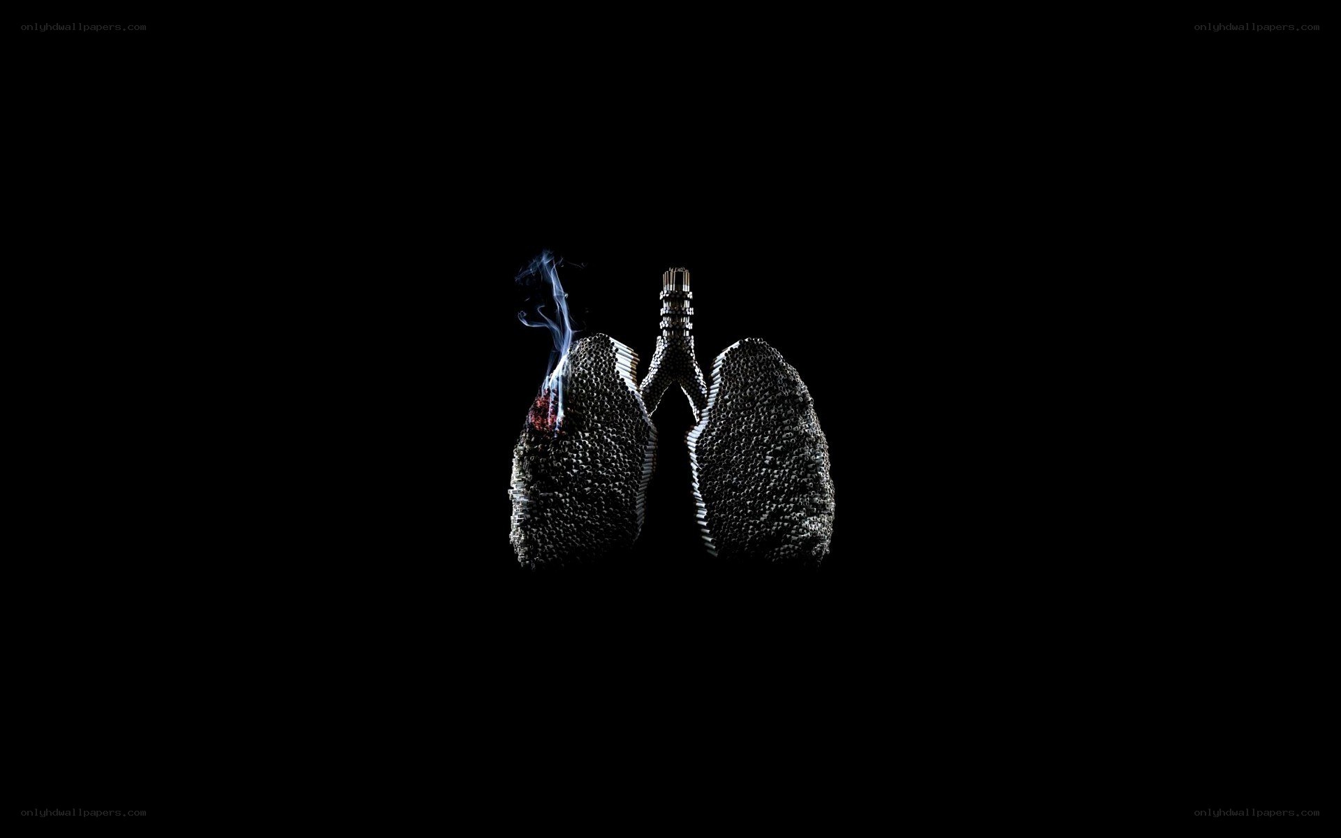 Smoking lungs sculpture