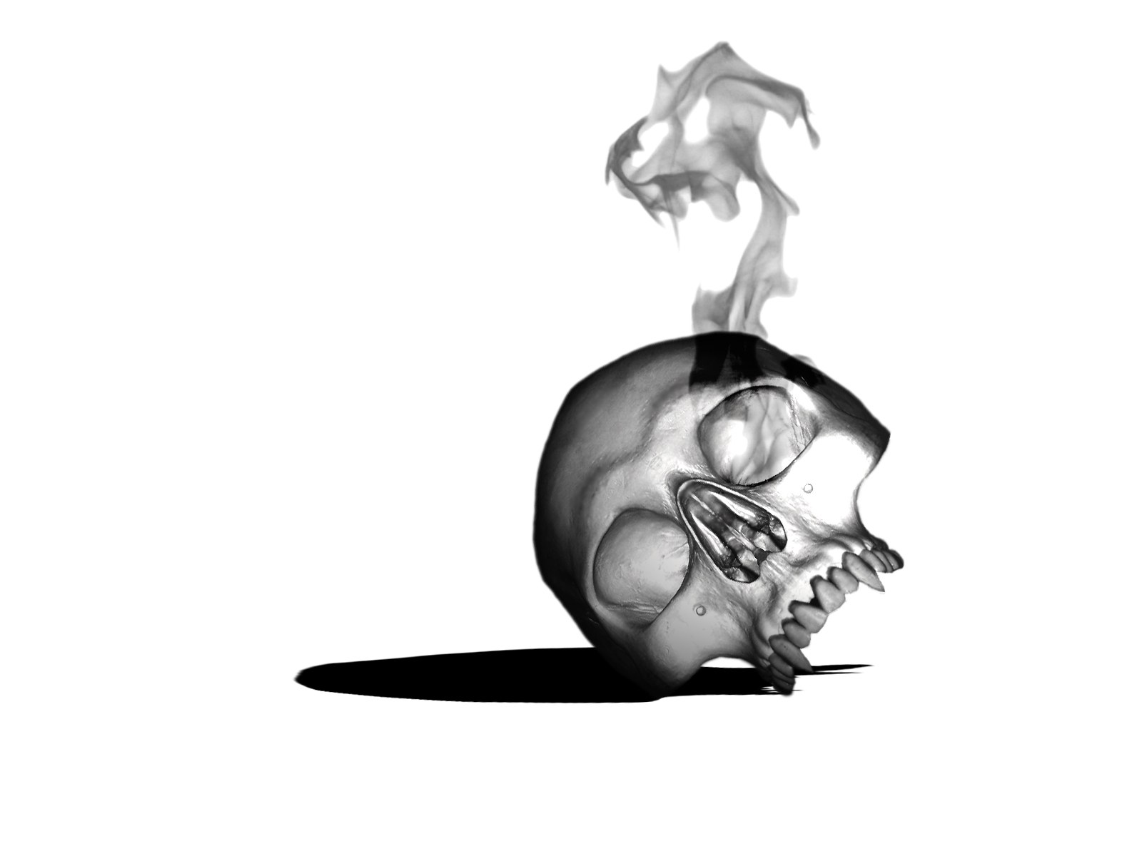 smoking skull illustration