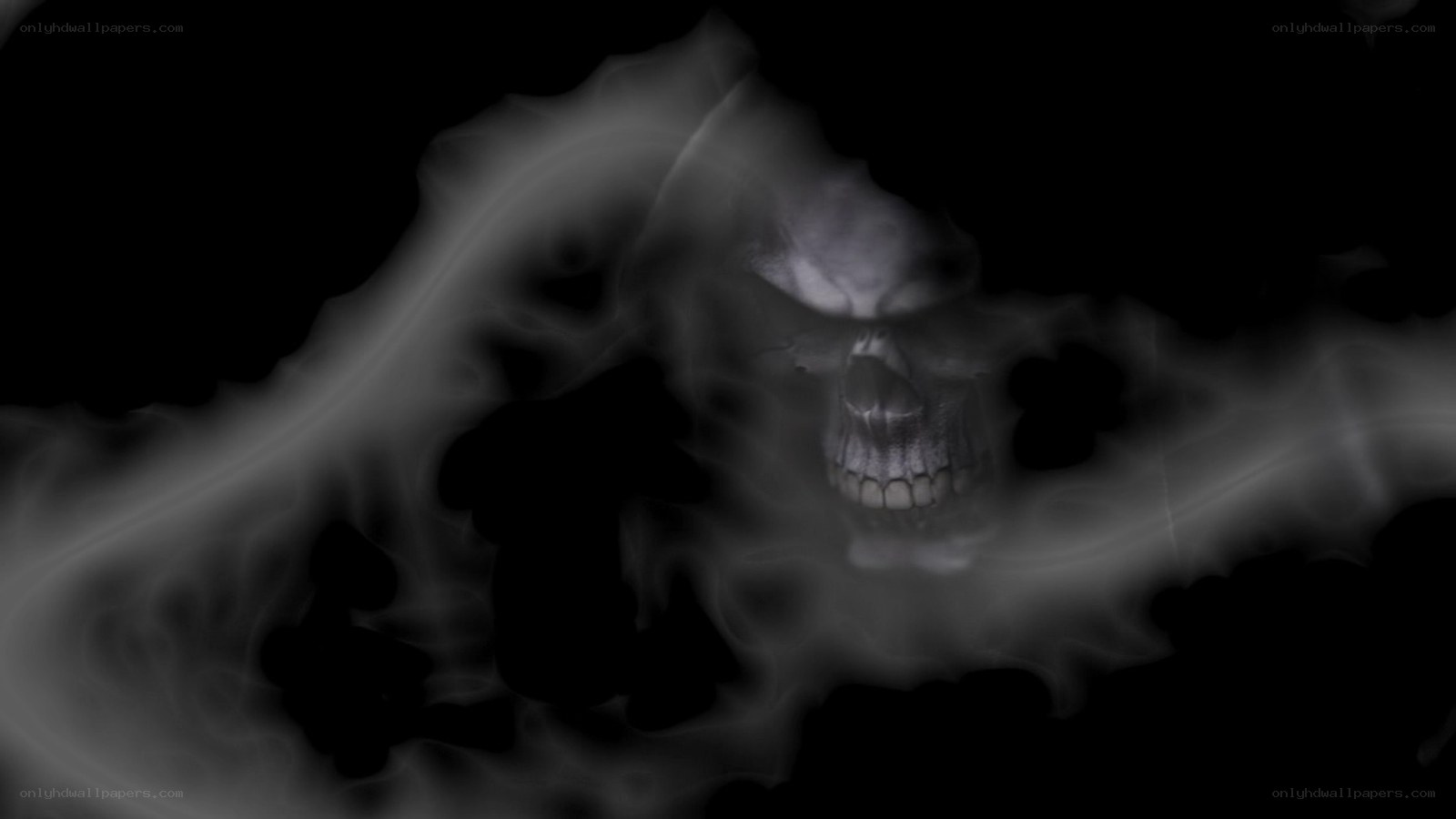 smoky skull in darkness