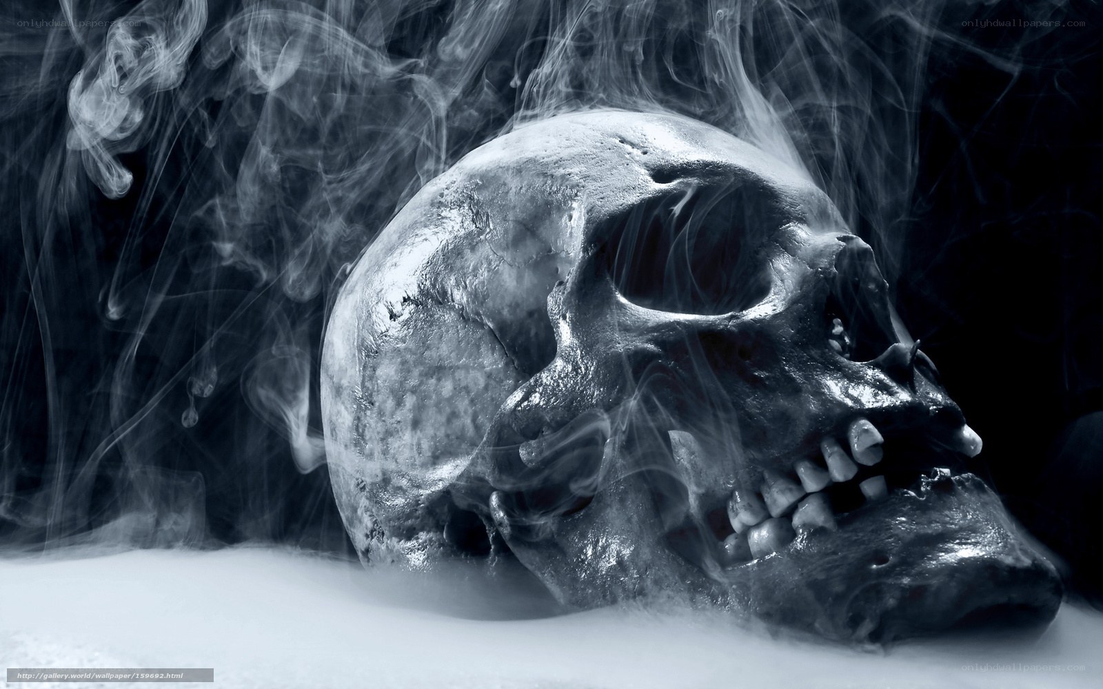 smoky skull in fog