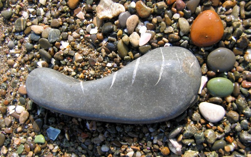 Smooth gray stone on pebble beach