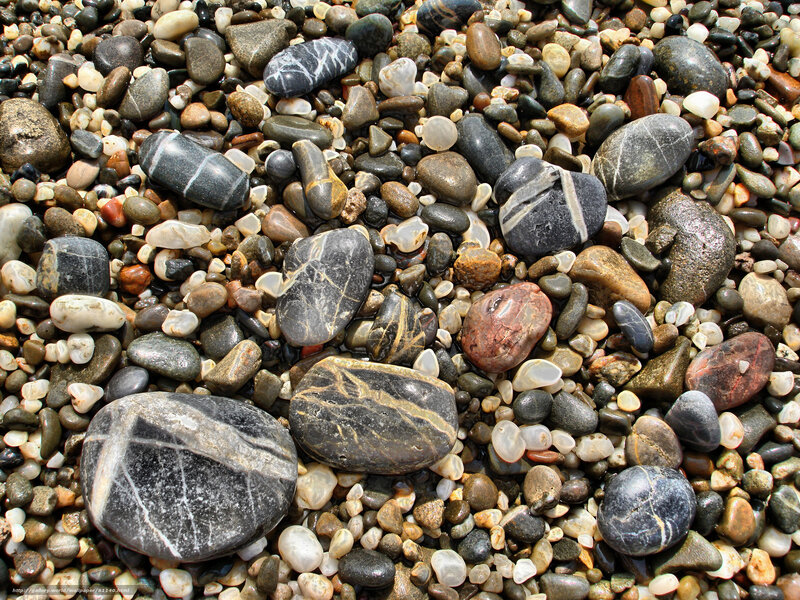 Smooth Pebbles on Beach — Gray, Calm
