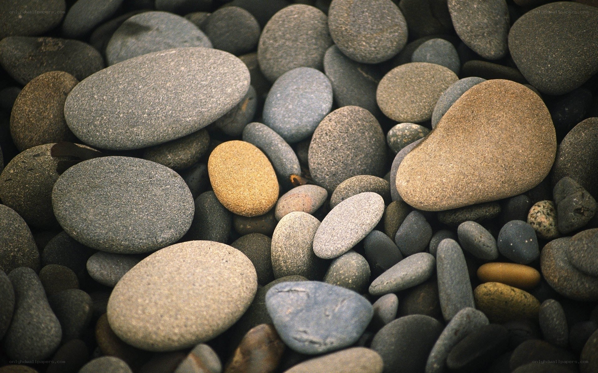 smooth river stones close-up