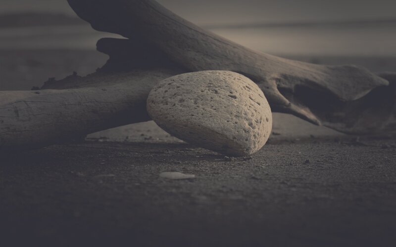 Smooth Stone on Driftwood