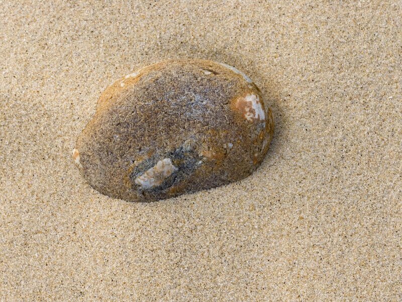 smooth stone on sandy beach