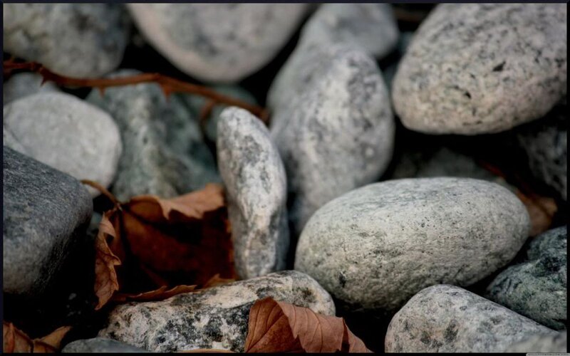 Smooth Stones and Leaves