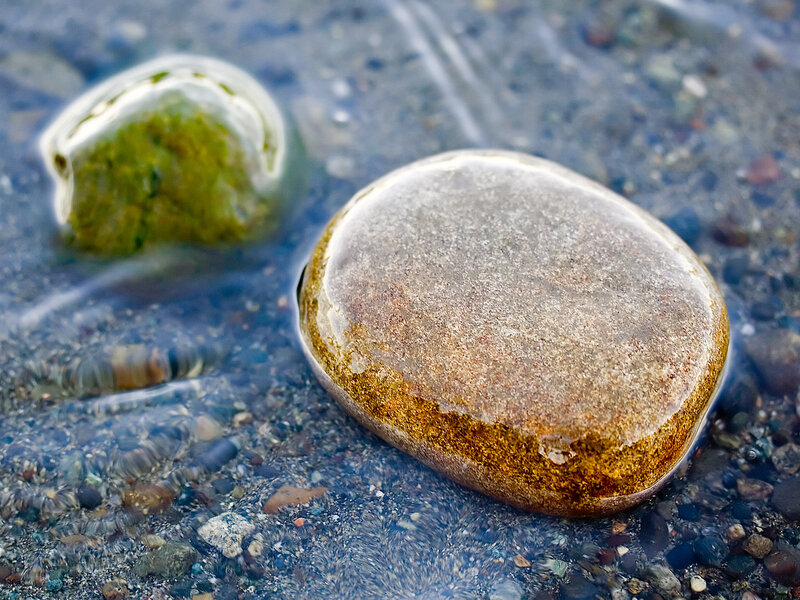 Smooth stones in shallow water