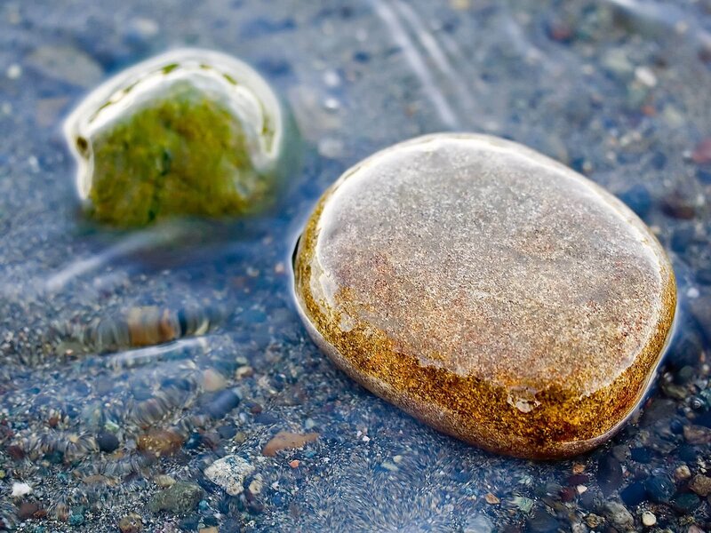 Smooth stones in shallow water