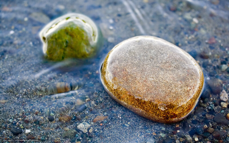 Smooth stones in shallow water