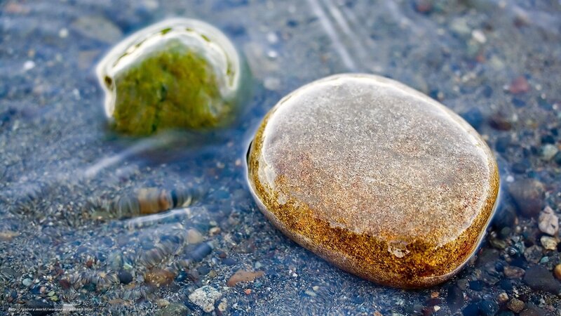 Smooth Stones in Water — Brown, Serene