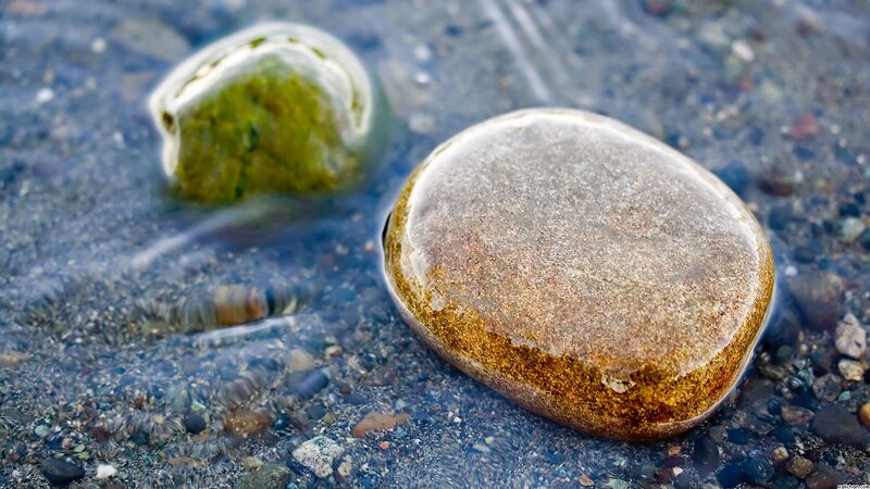 Smooth Stones in Water — Brown