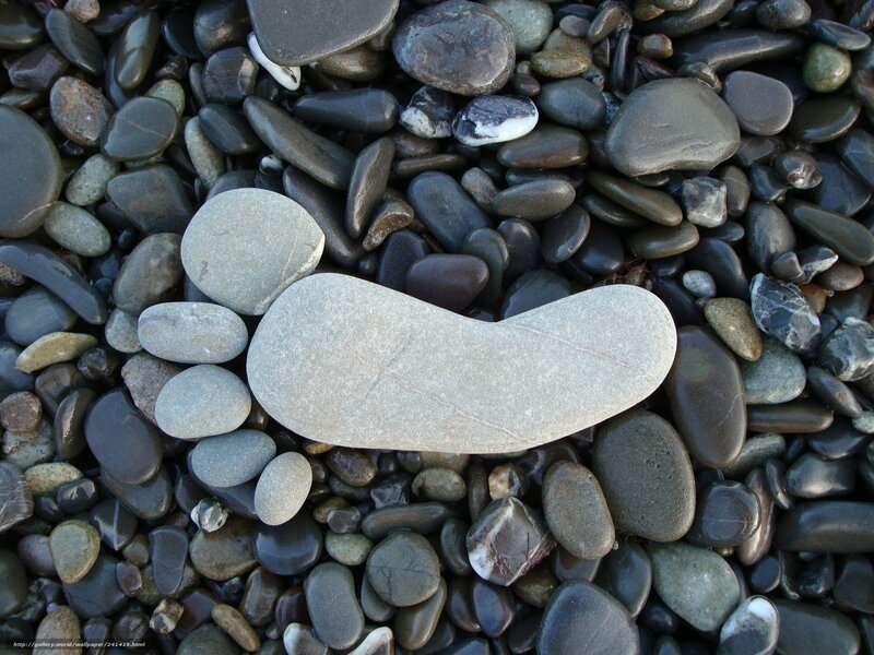 Smooth Stones on Beach — Gray, Calm, Photograph