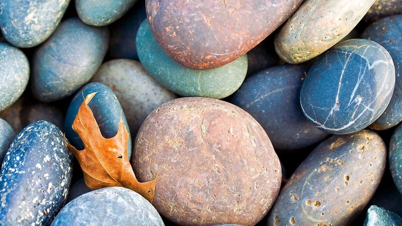 smooth stones with a leaf