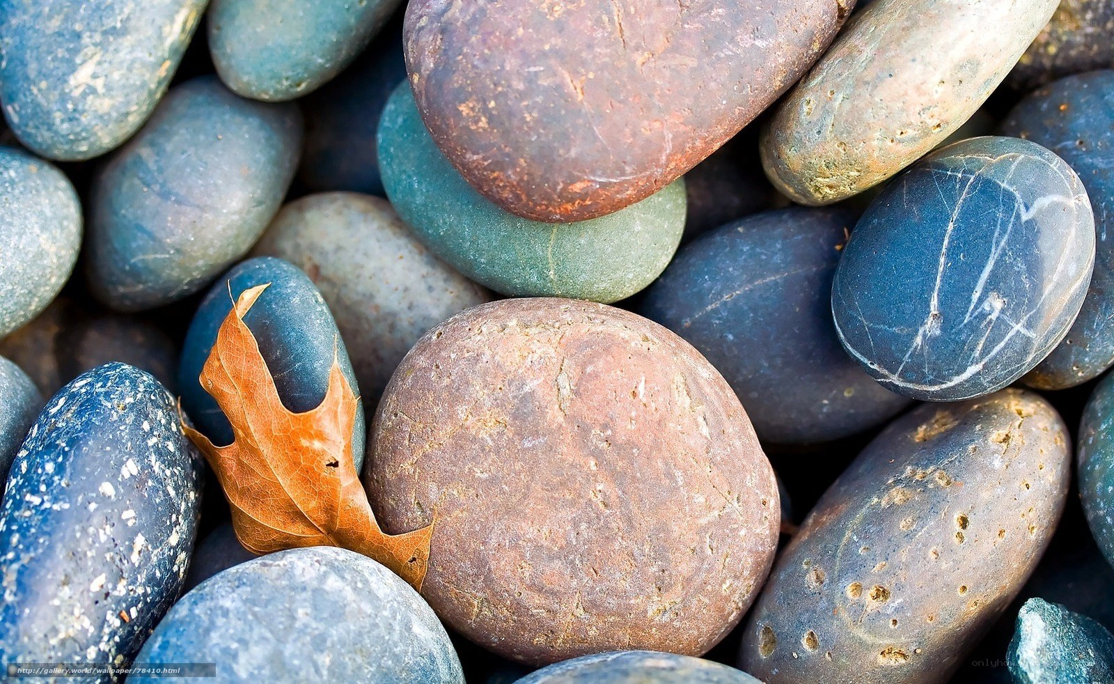 smooth stones with a leaf