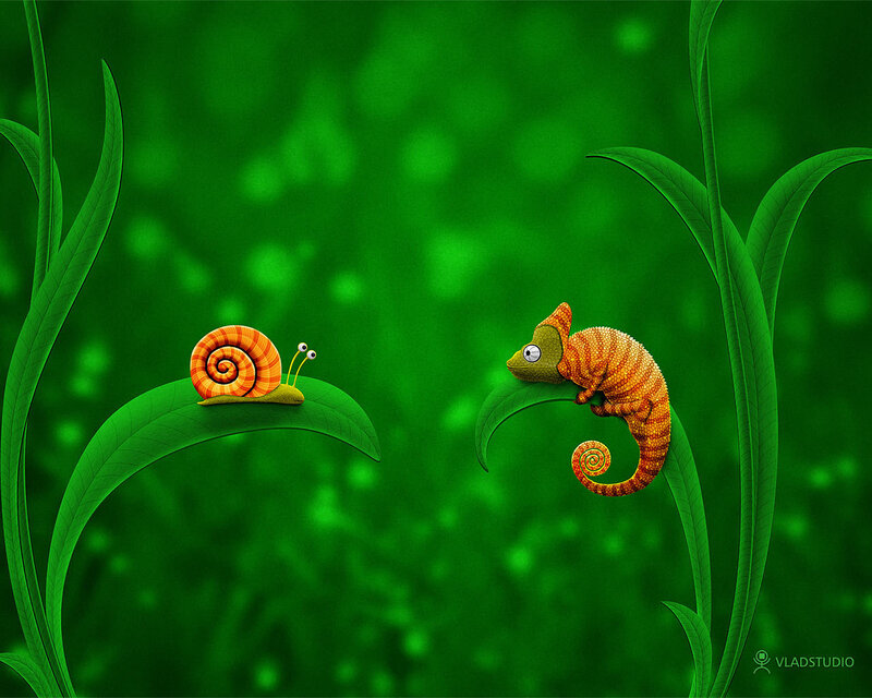 snail and chameleon on leaves