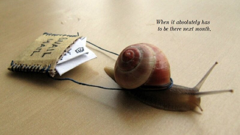 Snail Carrying Mail — Brown