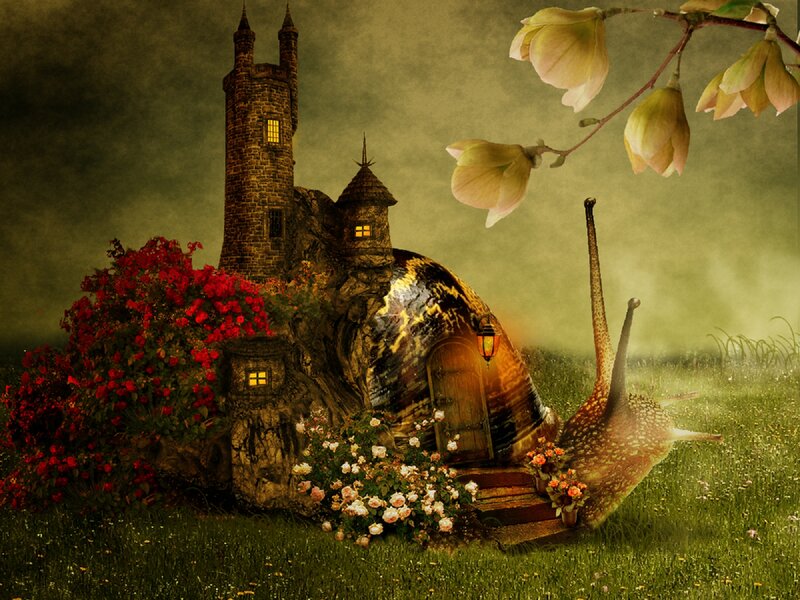 Snail House in Garden