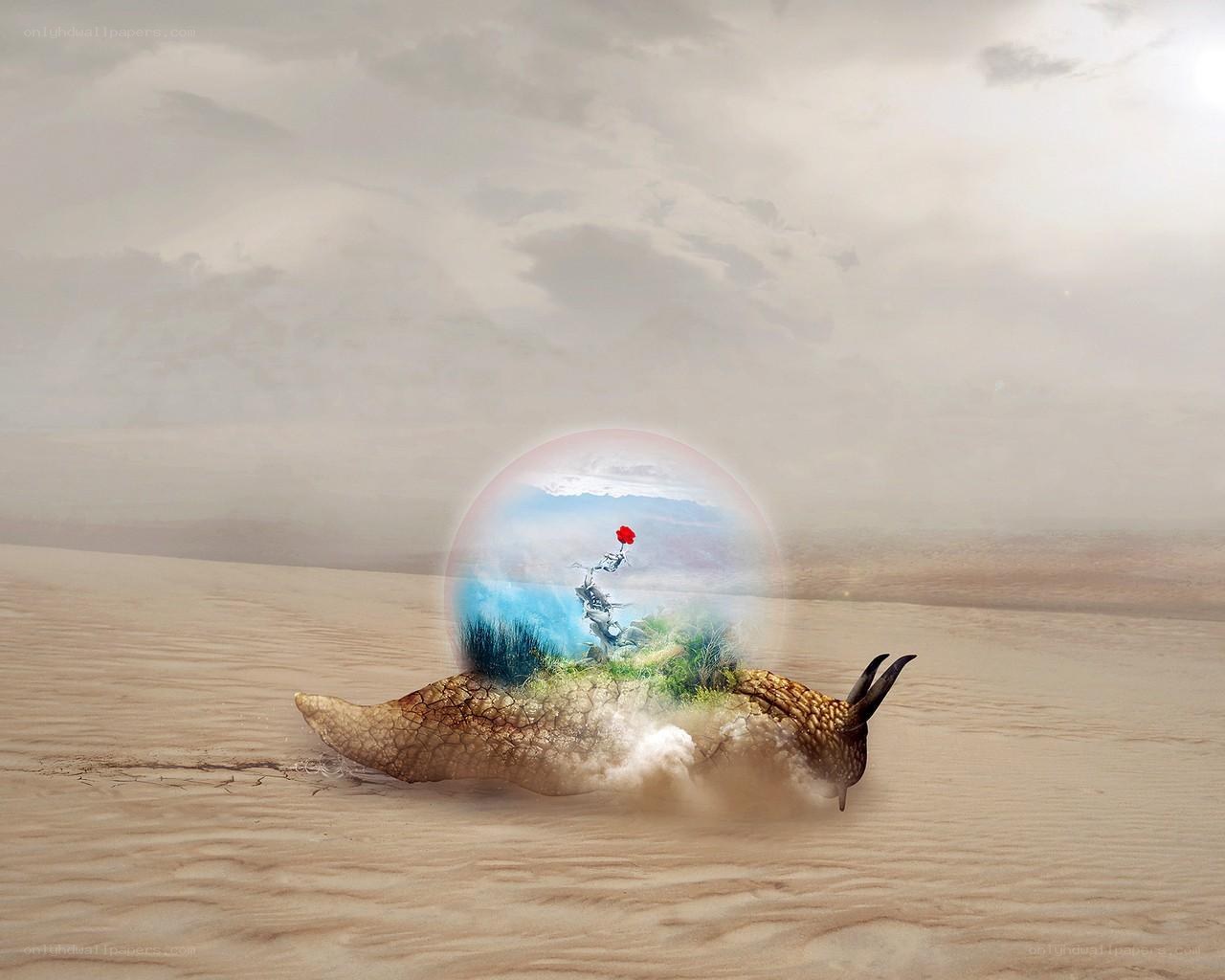 snail in a desert with bubble