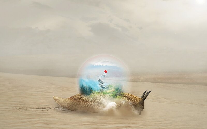 Snail in Desert — Beige