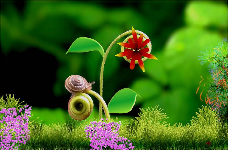 Snail on a Flower — Green