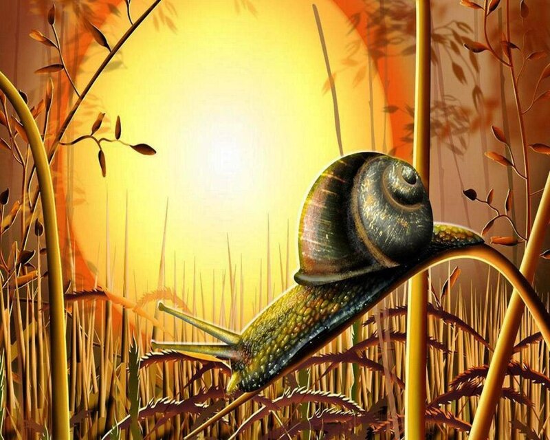 Snail on a Plant Stem — Yellow, Serene
