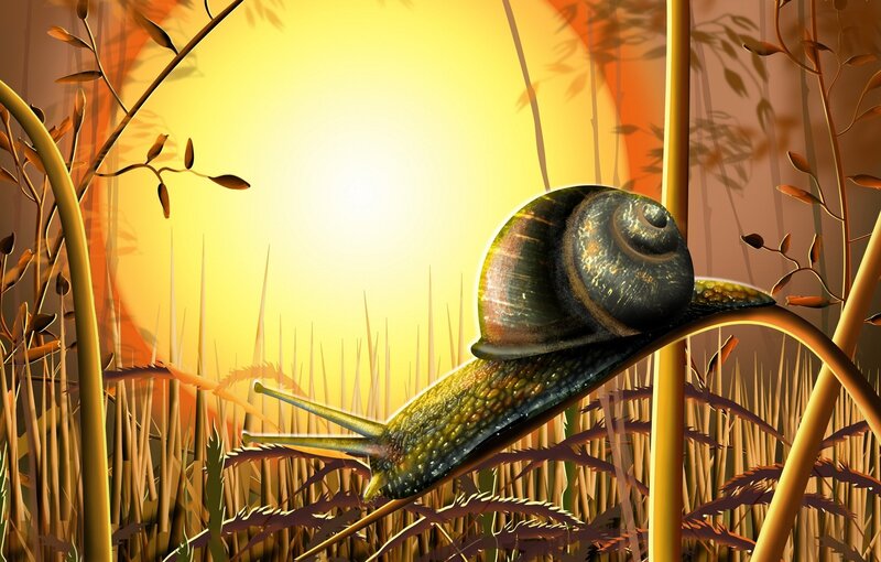 Snail on a Plant Stem — Yellow