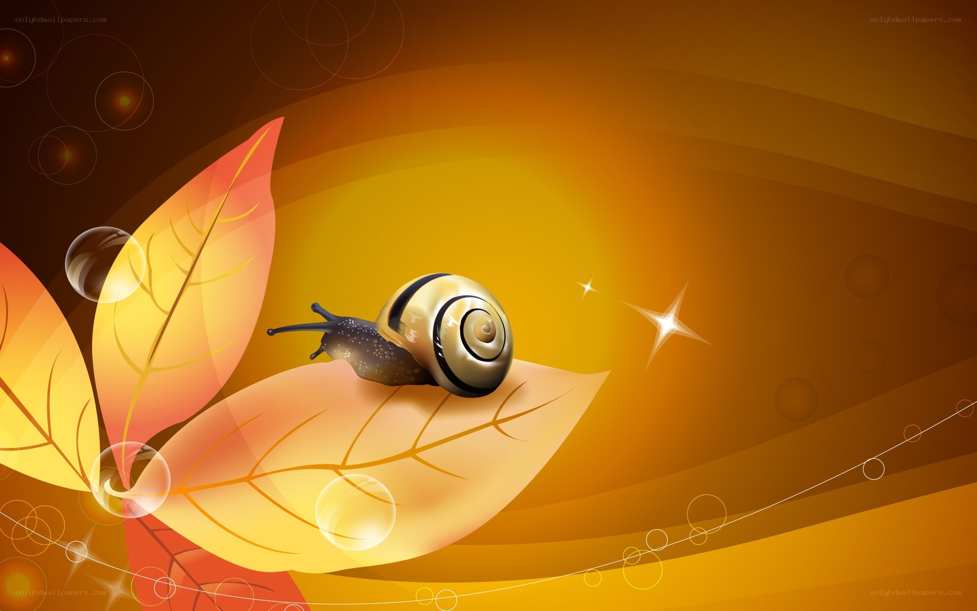 snail on autumn leaf