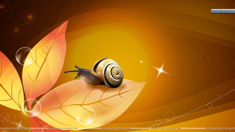 Snail on Autumn Leaf — Orange, Calm