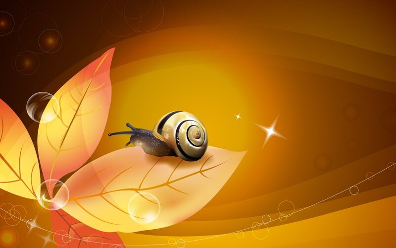 Snail on Autumn Leaf — Orange, Serene
