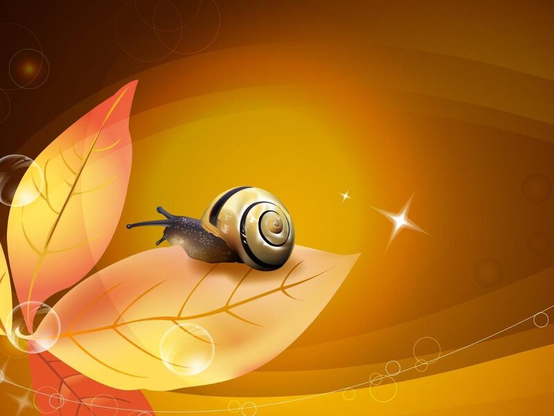 Snail on Autumn Leaf — Orange