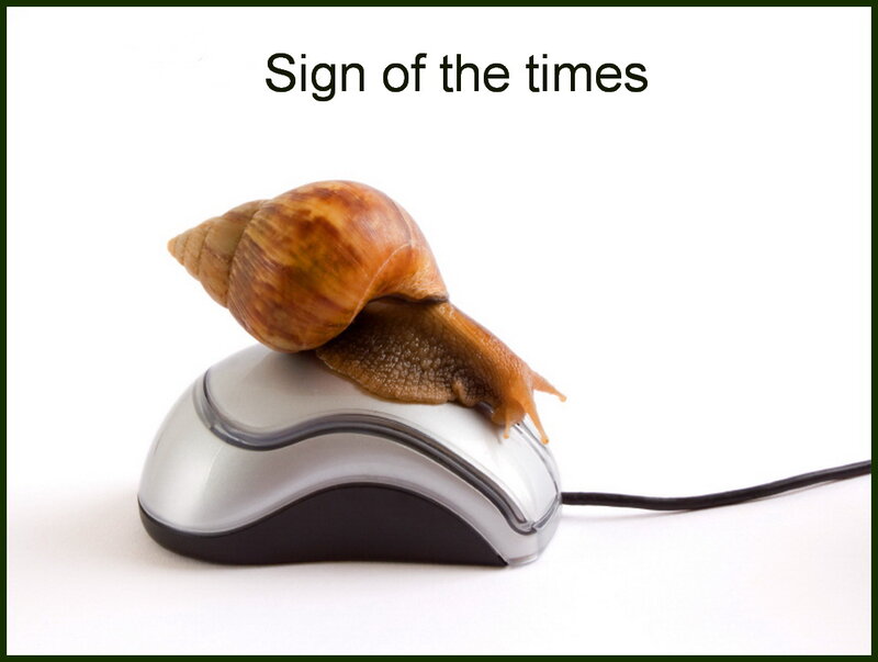 Snail on Computer Mouse
