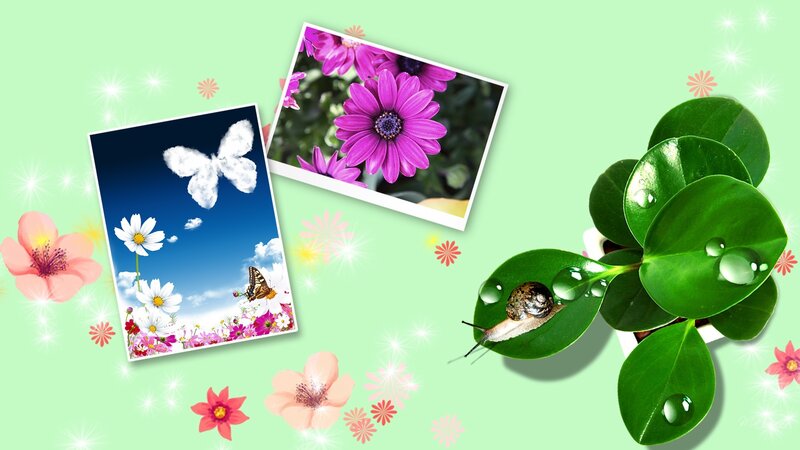 Snail on Green Leaf — Cheerful