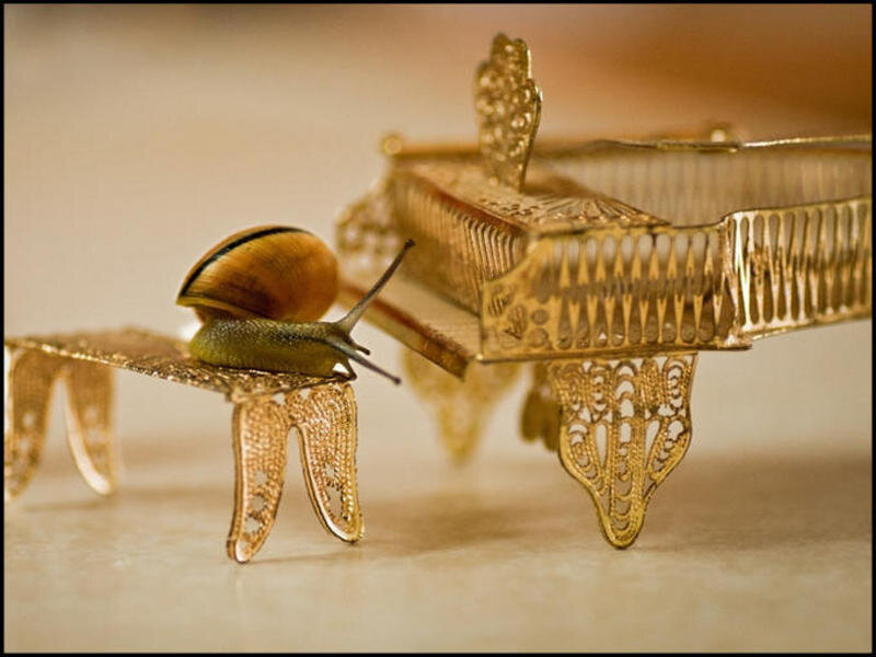 Snail on miniature piano