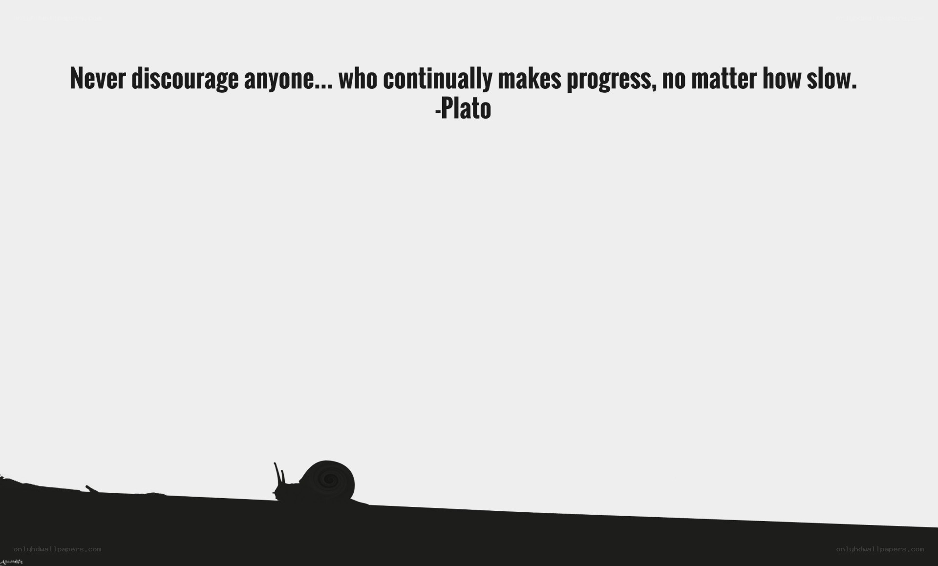 snail progress quote