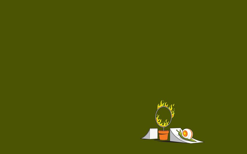 snail racing challenge