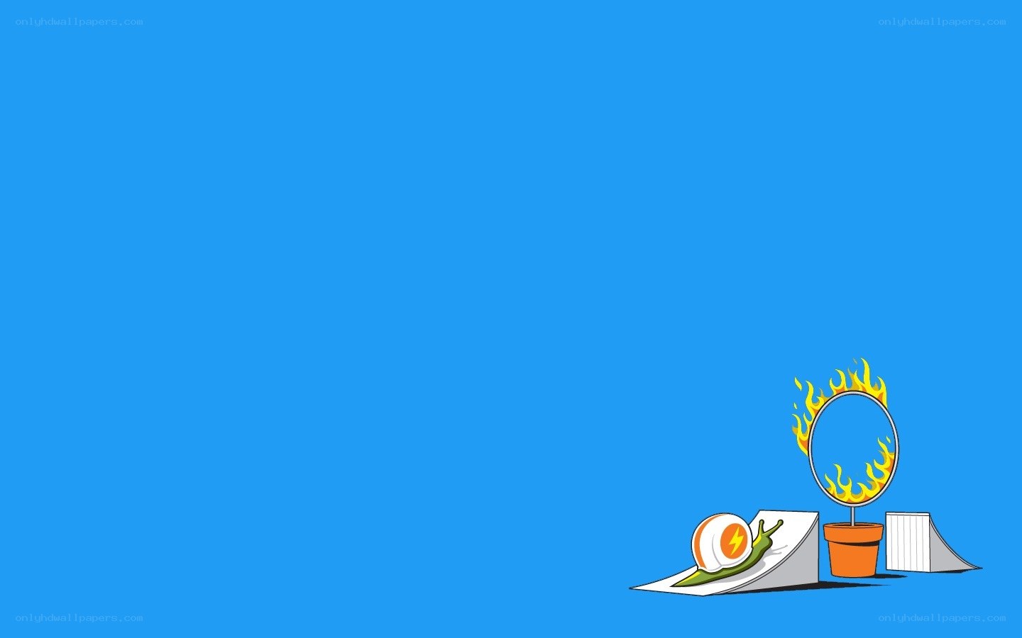 snail racing challenge