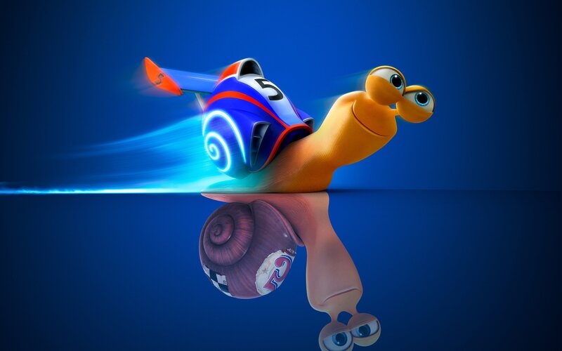 Snail Racing in Car