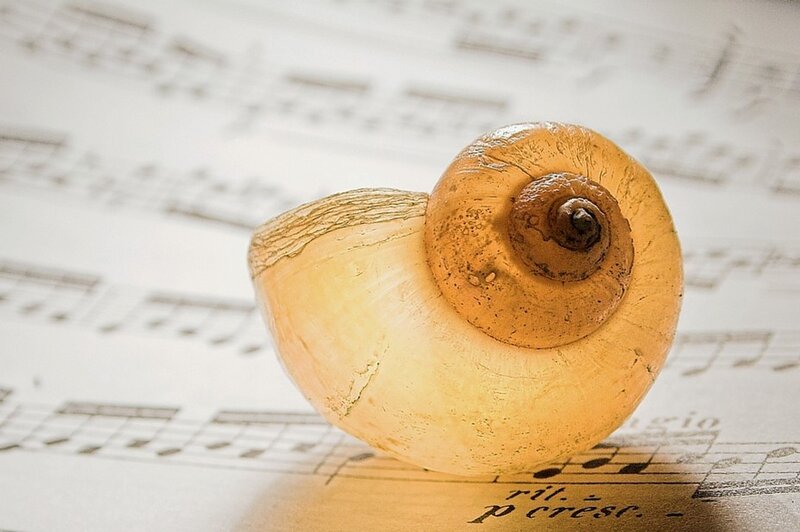 Snail Shell on Sheet Music